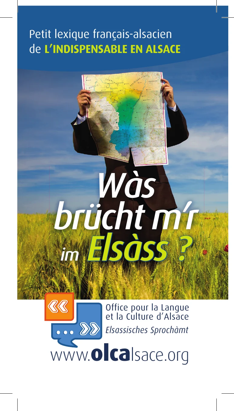 Couverture du lexique de l’indispensable en Alsace.